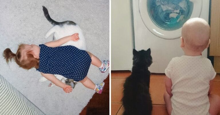 15 fotografii care ne demonstrează că copiii și animalele de companie sunt piese ale aceluiași puzzle