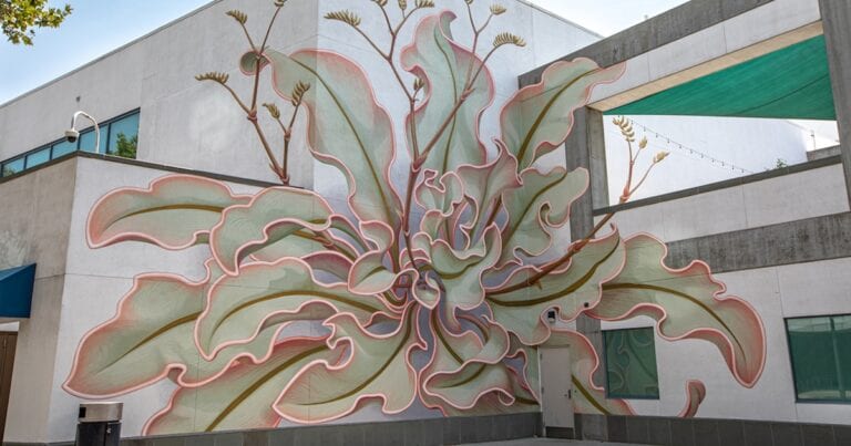 O tânără artistă a creat o pictură murală uimitoare cu flori tipice din California