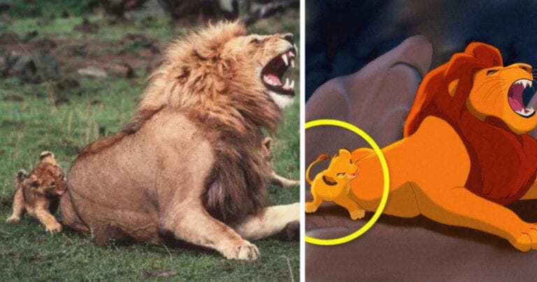 13 momente în care natura s-a inspirat de la personajele Disney