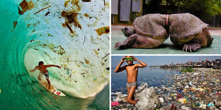 20 de fotografii sfâșietoare ale poluării care vă vor face să fiți mai atenți cu resturile menajere