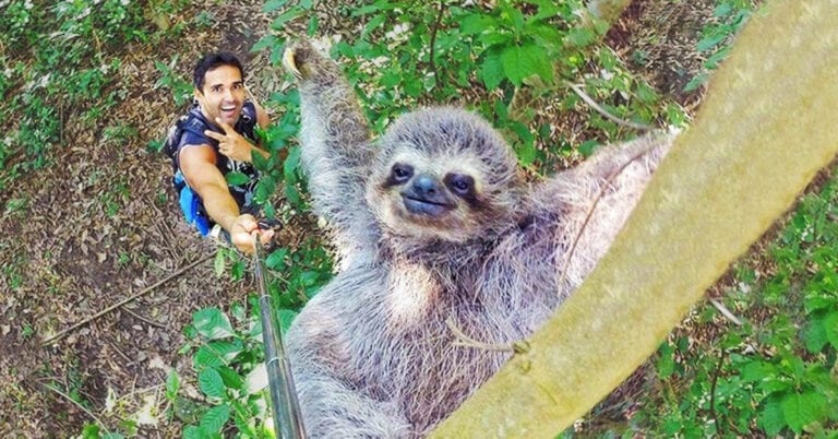 Cele mai apreciate 20 de selfie-uri ale anului din toată lumea