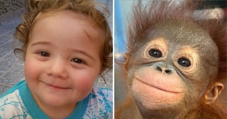 15 imagini care ne demonstrează că animalele pot transmite la fel de multe emotii ca si copiii
