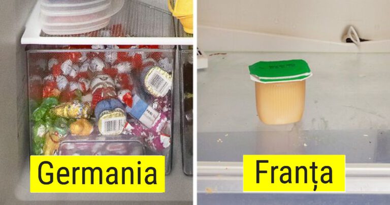 O femeie germană ne împărtășește fotografii cu oameni și conținutul frigiderelor lor
