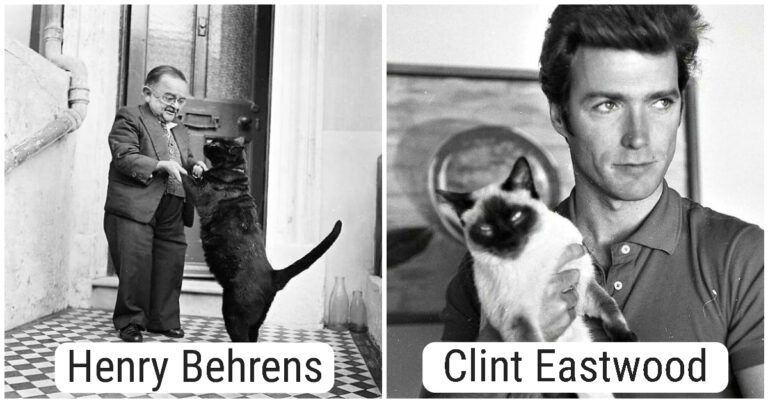 19 fotografii de epocă ale unei jurnaliste, cu oameni celebri și pisicile lor