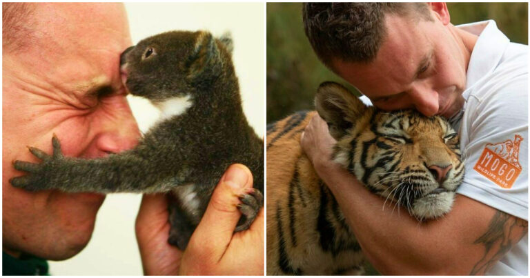 20 de imagini din culisele unui parc cu animale sălbatice din Australia