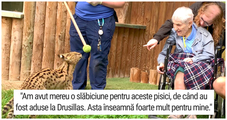 O femeie de 100 de ani a avut ocazia de a întâlni o pisică Serval, visul ei de-o viață s-a împlinit