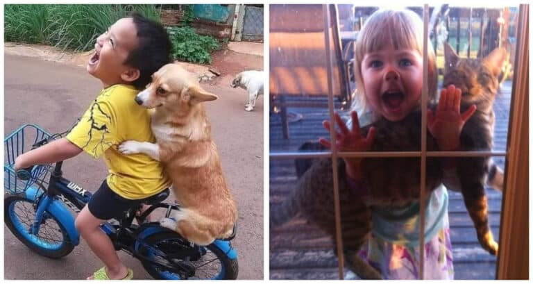 17 fotografii incontestabile care demonstrează că animalele și copiii sunt făcuți unul pentru celălalt