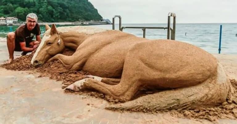 20 de sculpturi de nisip realiste care par desprinse dintr-un documentar despre faună